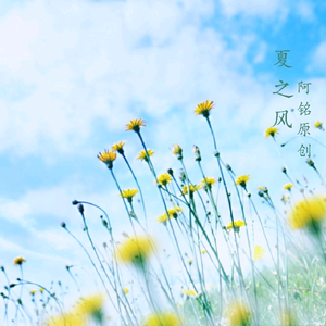 多缓缓耳光视频sVK
