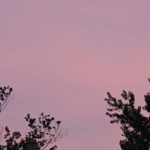 多缓缓耳光视频sVK
