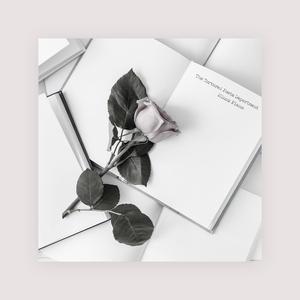 多缓缓耳光视频sVK
